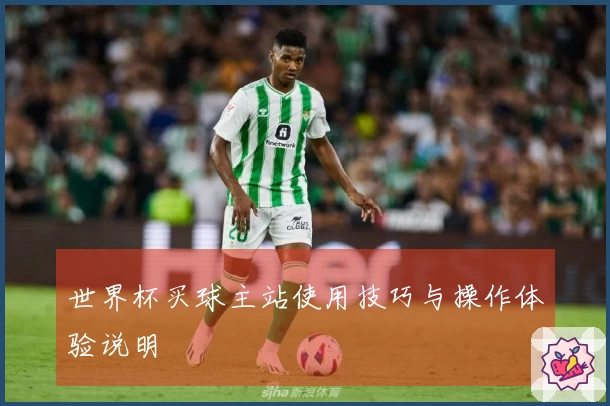 世界杯买球主站使用技巧与操作体验说明