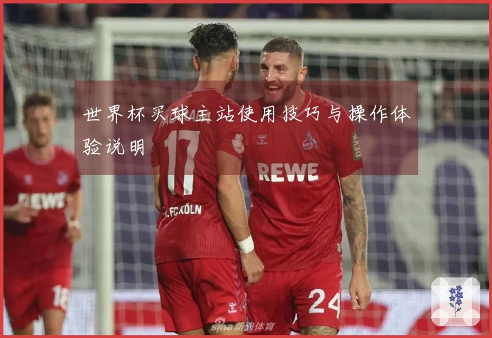 世界杯买球主站使用技巧与操作体验说明