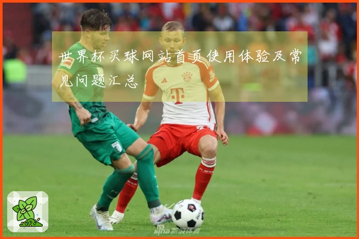 世界杯买球网站首页使用体验及常见问题汇总