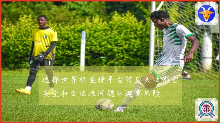 选择世界杯竞猜平台时应关注哪些安全和合法性问题以避免风险