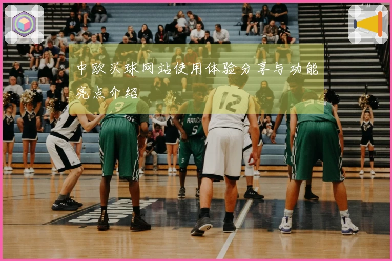 中欧买球网站使用体验分享与功能亮点介绍