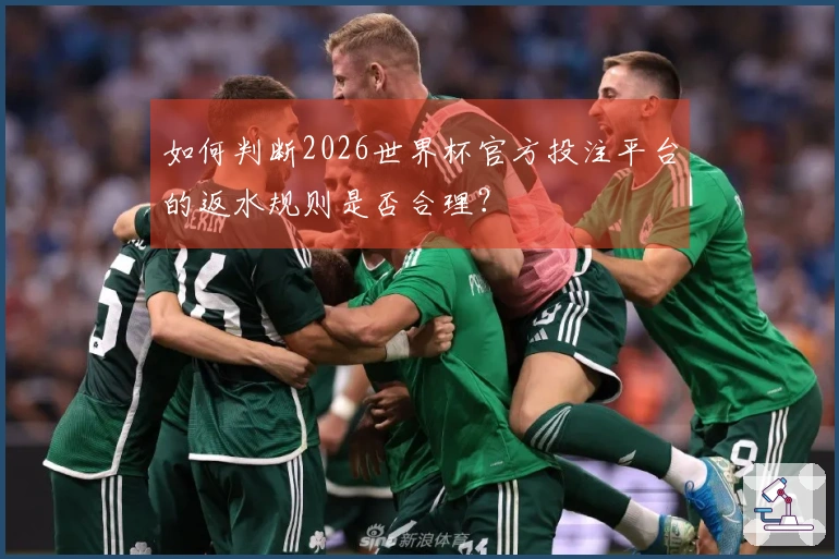 如何判断2026世界杯官方投注平台的返水规则是否合理？