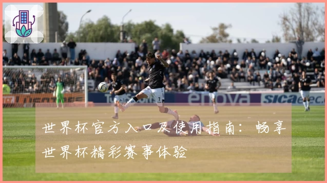 世界杯官方入口及使用指南：畅享世界杯精彩赛事体验