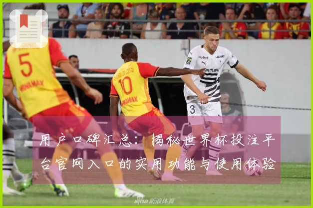 用户口碑汇总：揭秘世界杯投注平台官网入口的实用功能与使用体验