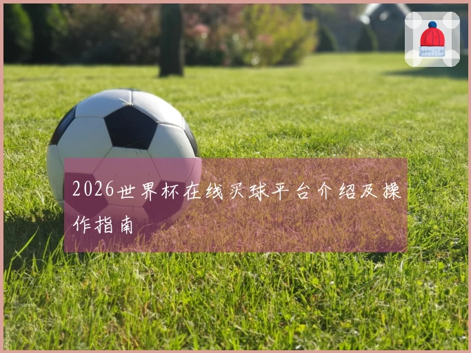 2026世界杯在线买球平台介绍及操作指南