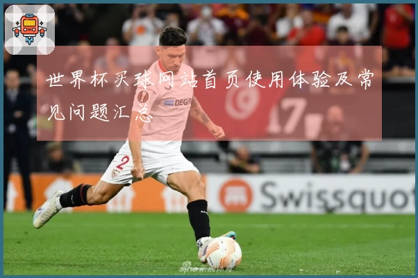世界杯买球网站首页使用体验及常见问题汇总