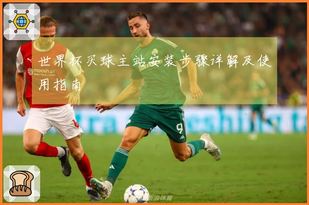 世界杯买球主站安装步骤详解及使用指南