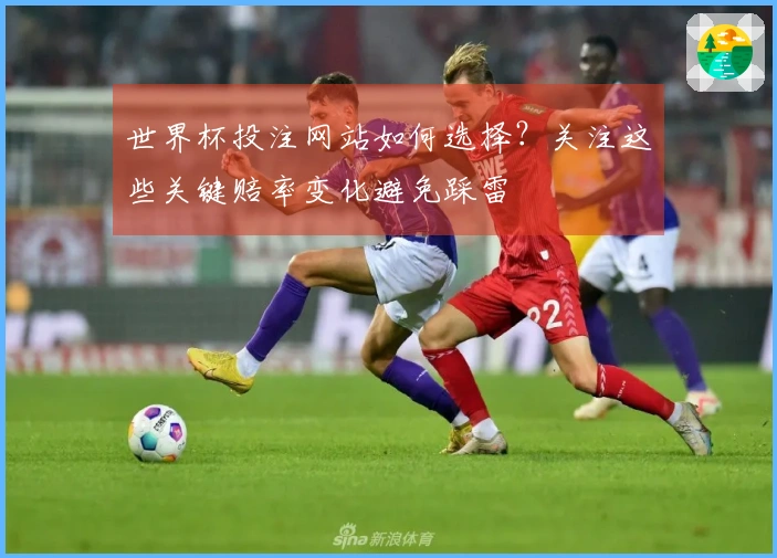 世界杯投注网站如何选择？关注这些关键赔率变化避免踩雷