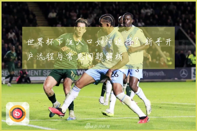 世界杯下注入口如何选择?新手开户流程与常见问题解析