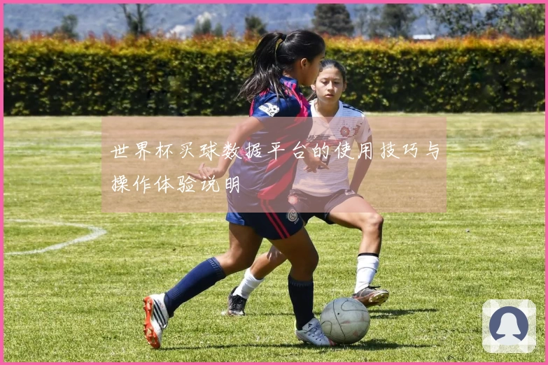 世界杯买球数据平台的使用技巧与操作体验说明