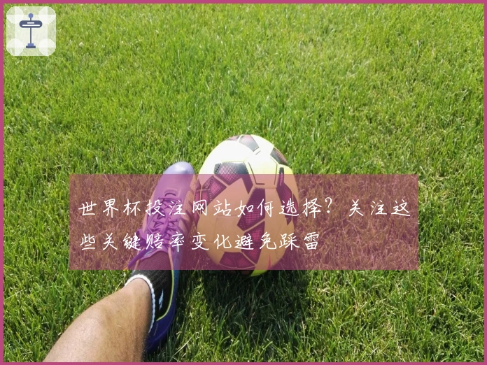 世界杯投注网站如何选择?关注这些关键赔率变化避免踩雷