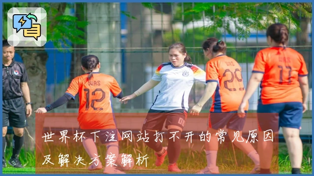世界杯下注网站打不开的常见原因及解决方案解析